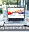 Rethinking Spreadsheets in Business